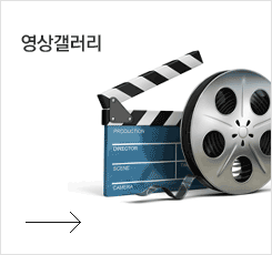 영상갤러리